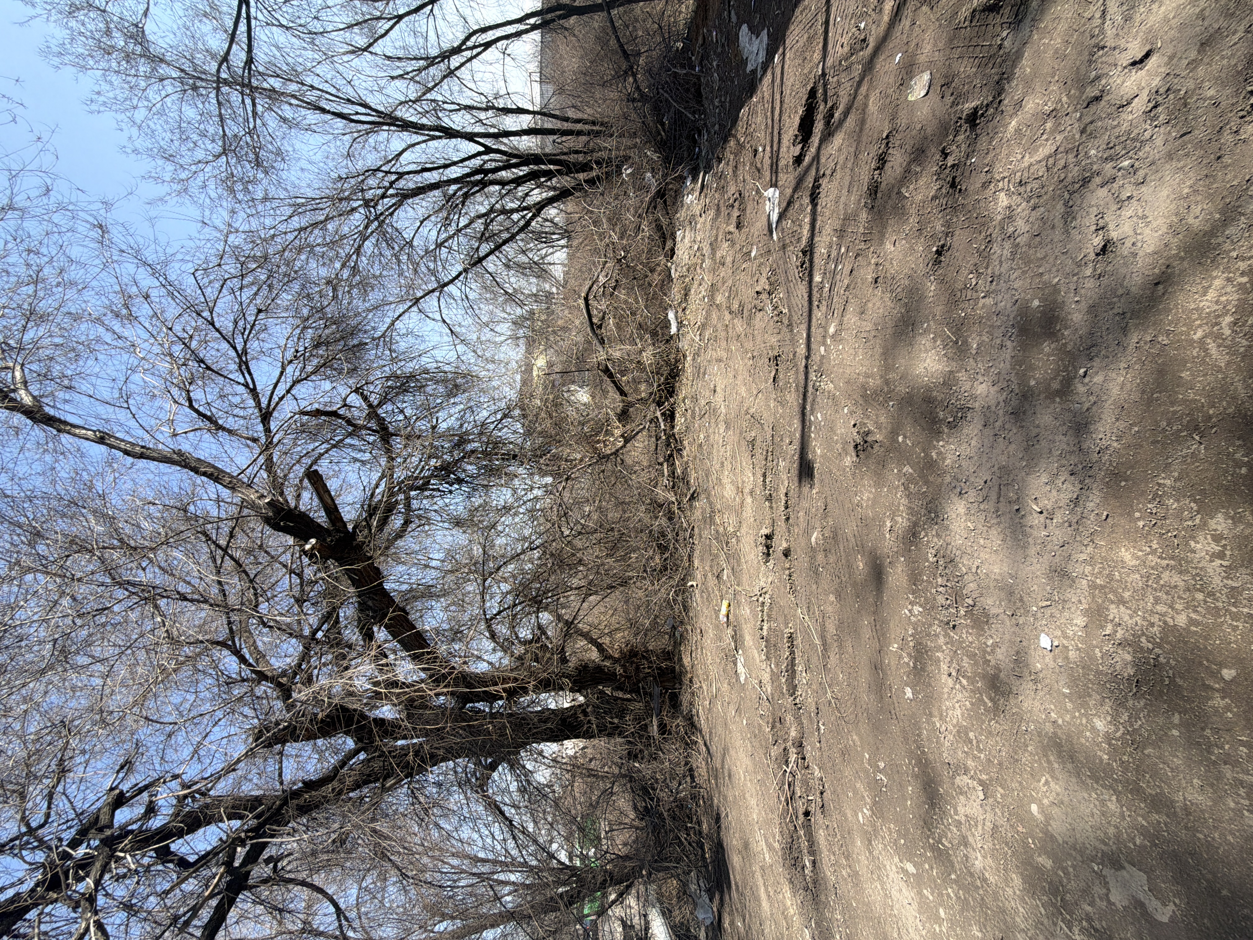 Фото нарушения