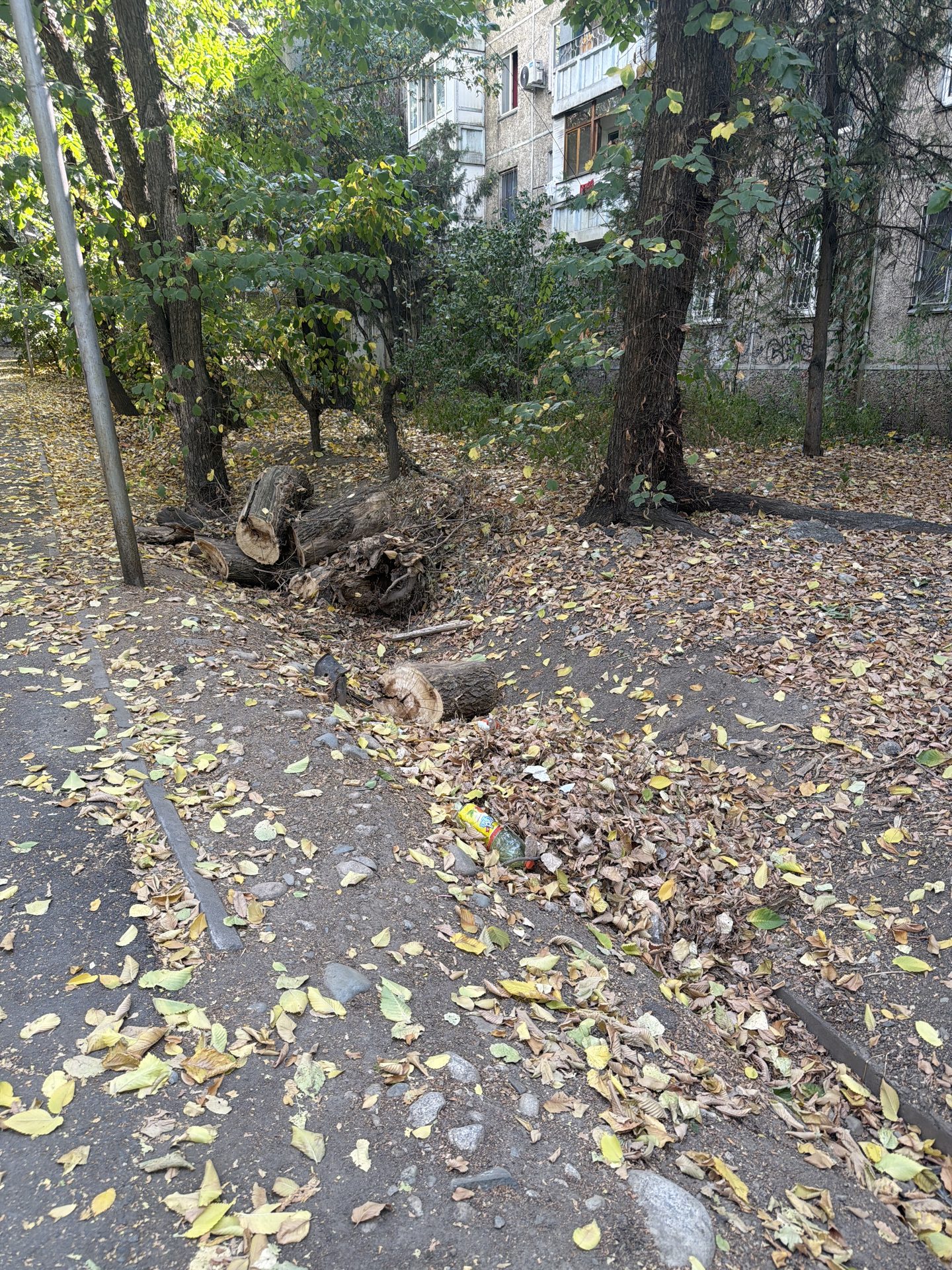Бұзушылық фотосы