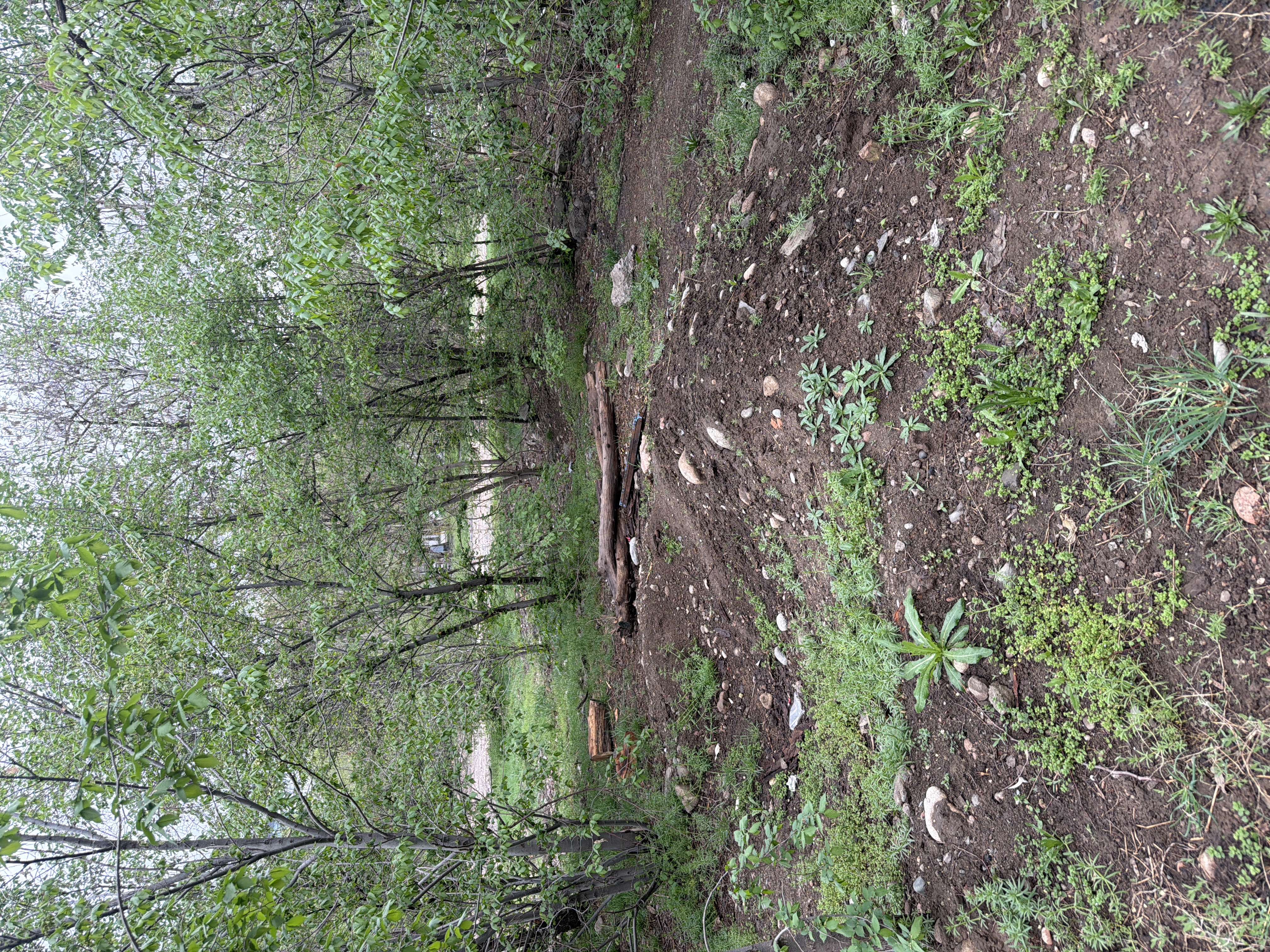 Фото нарушения