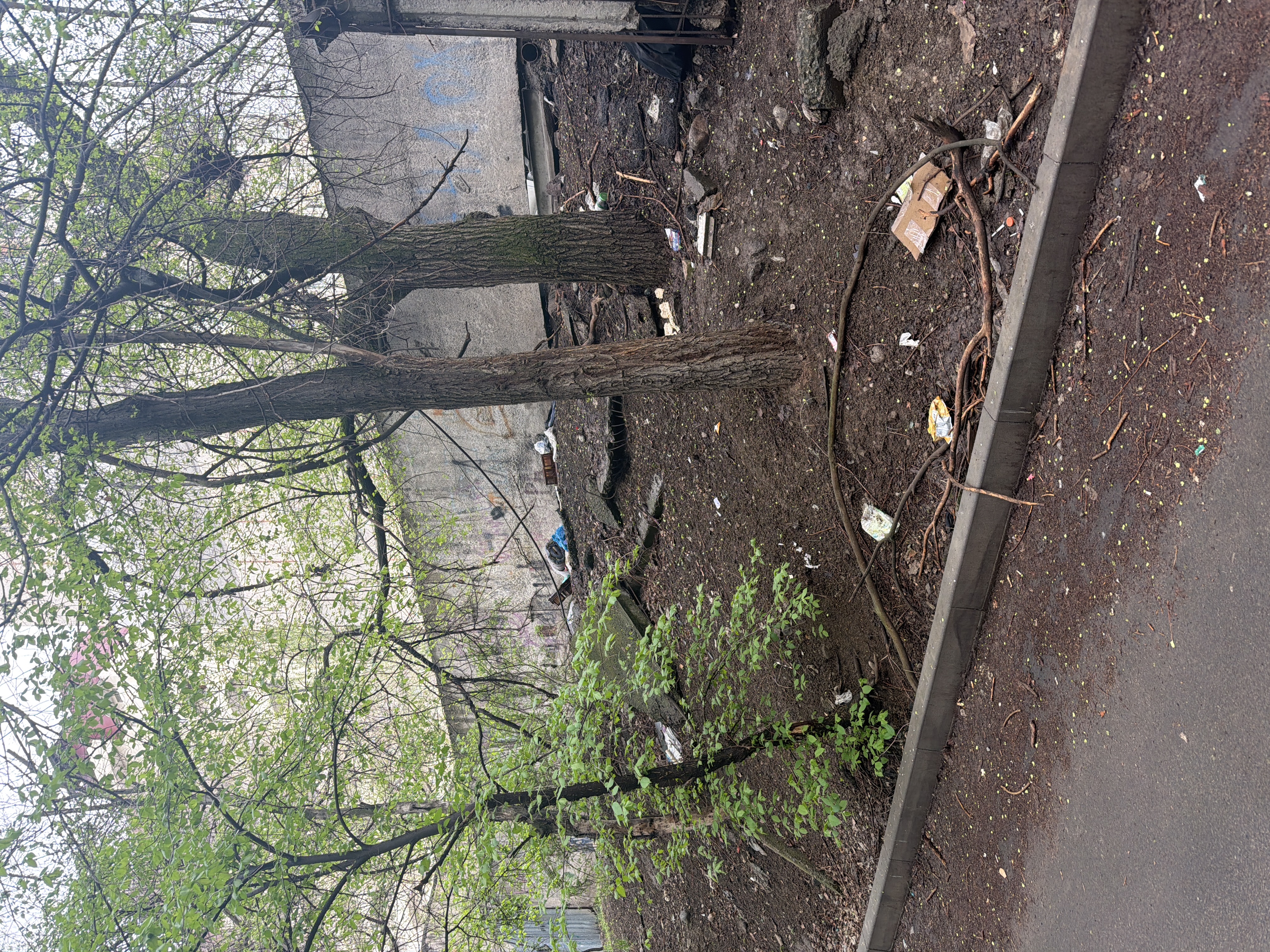 Фото нарушения