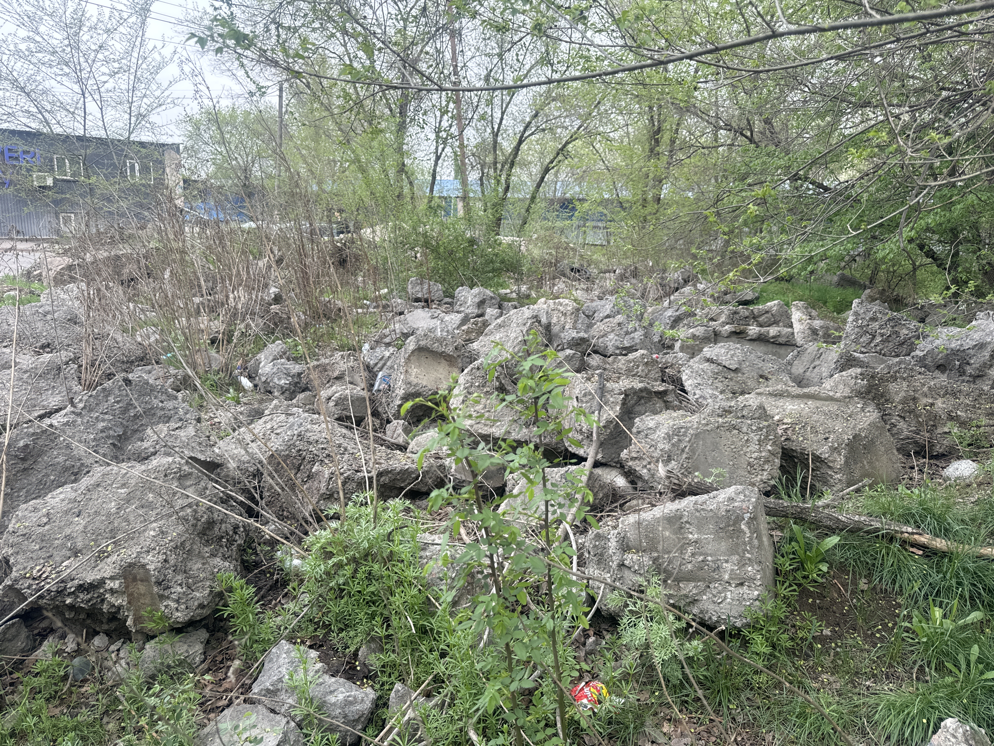 Фото нарушения