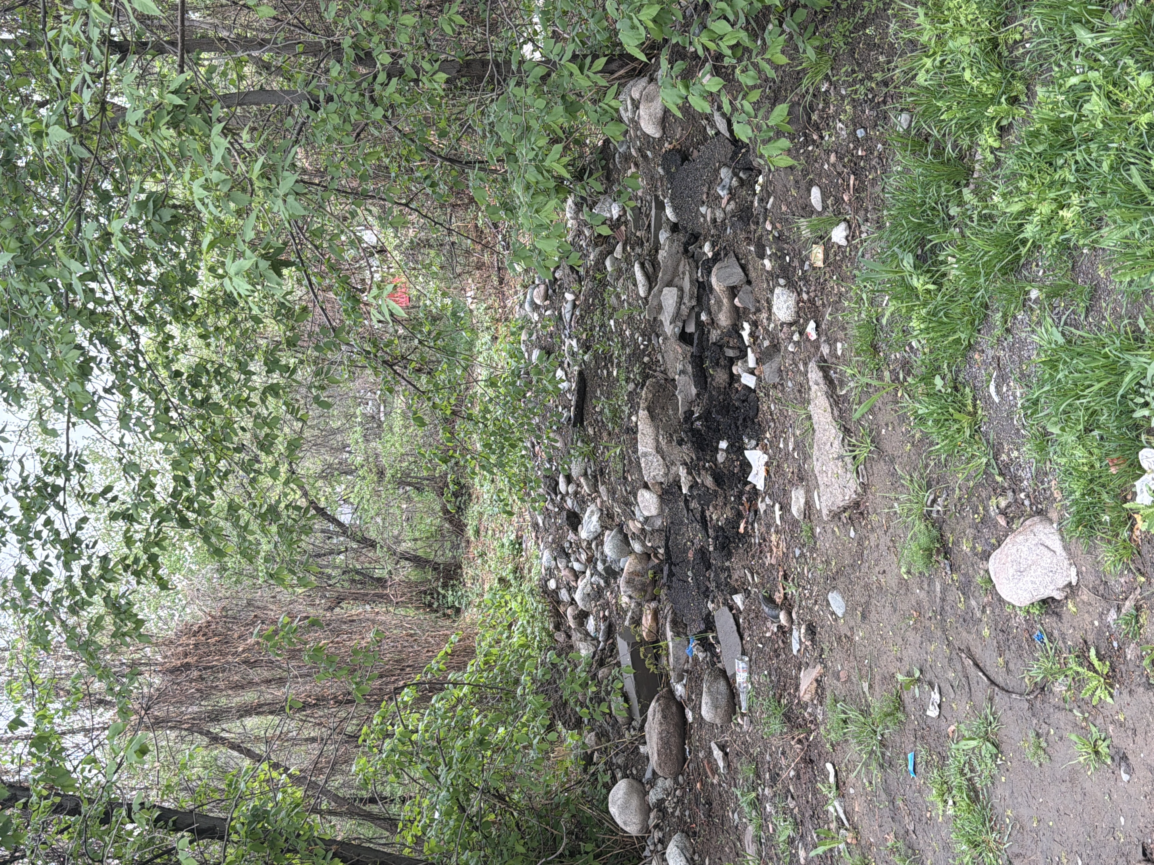 Фото нарушения