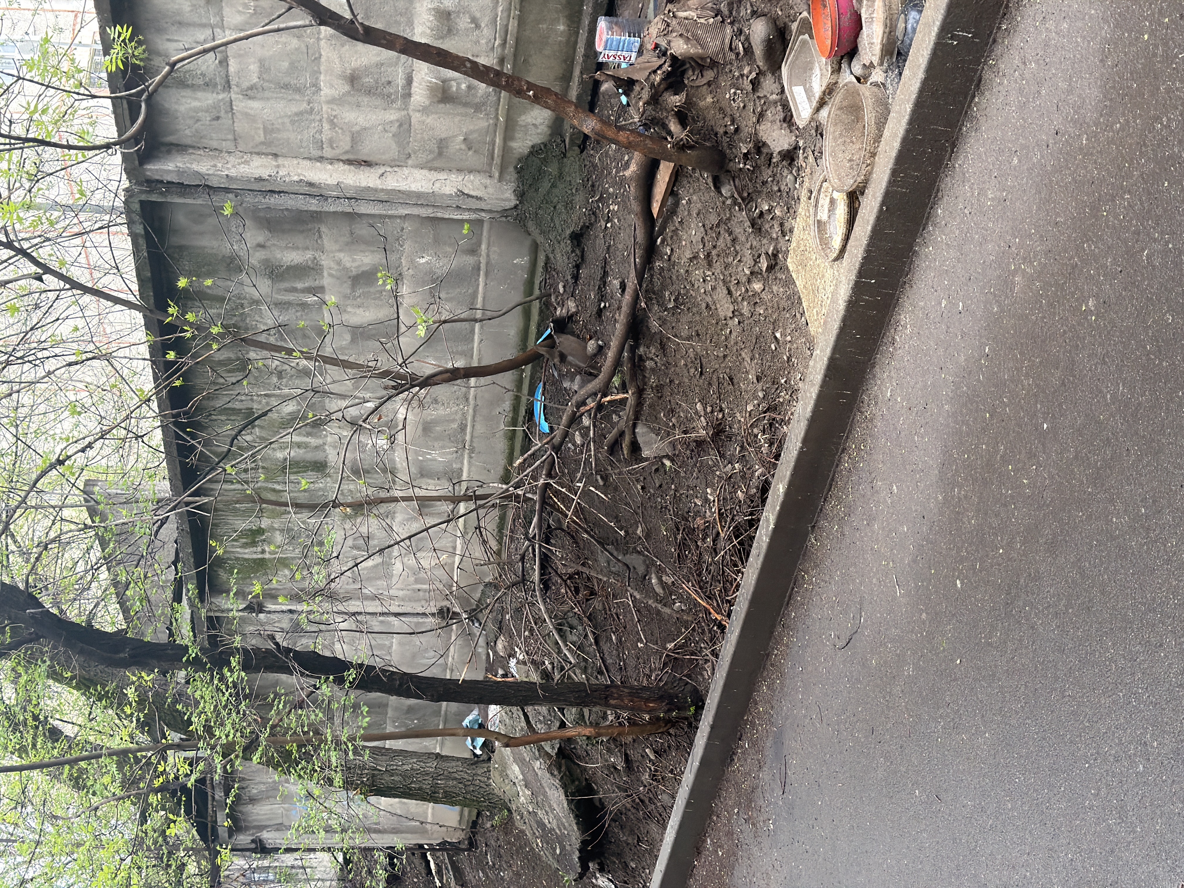 Фото нарушения