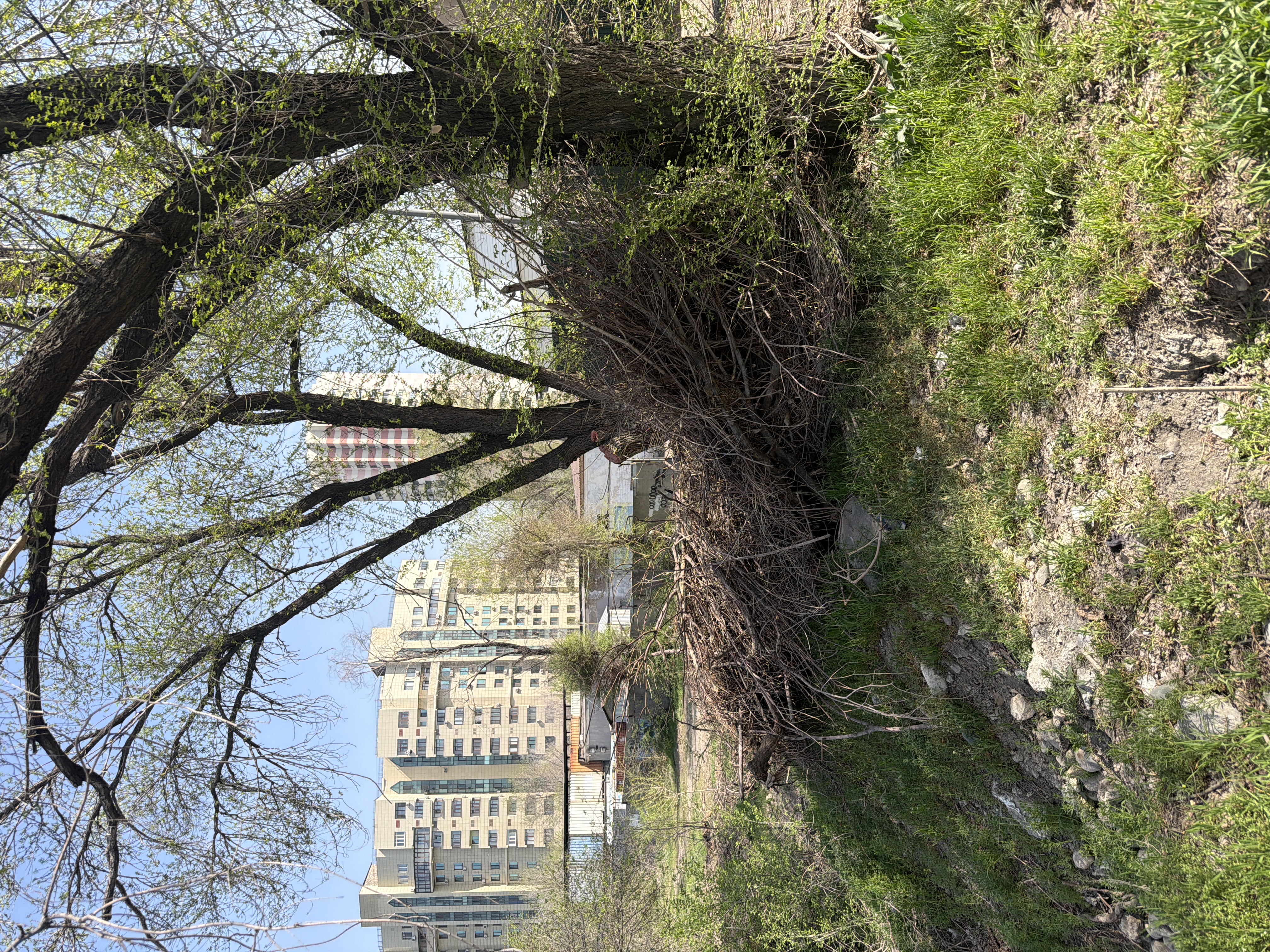 Фото нарушения