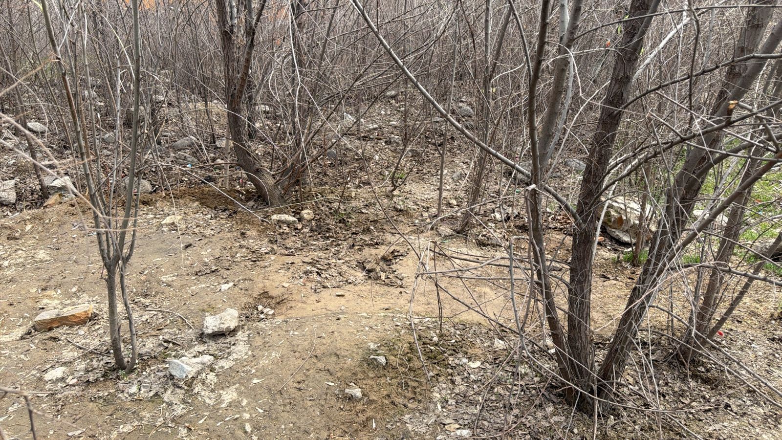 Фото после уборки