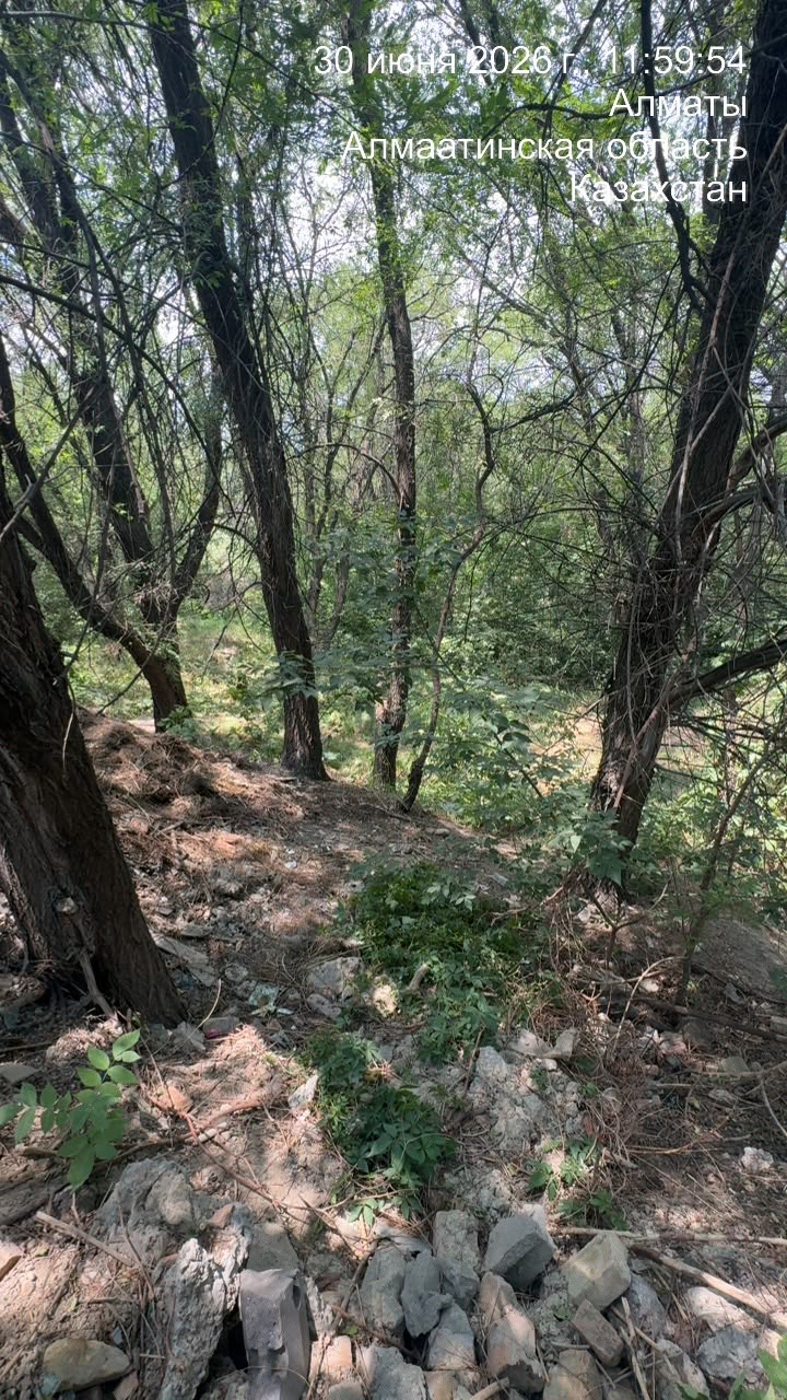 Тазалаудан кейінгі фото