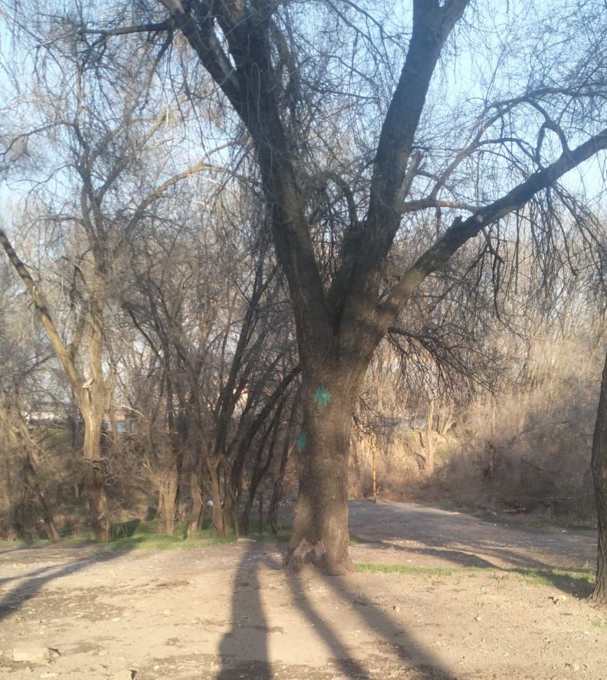 Фото после уборки