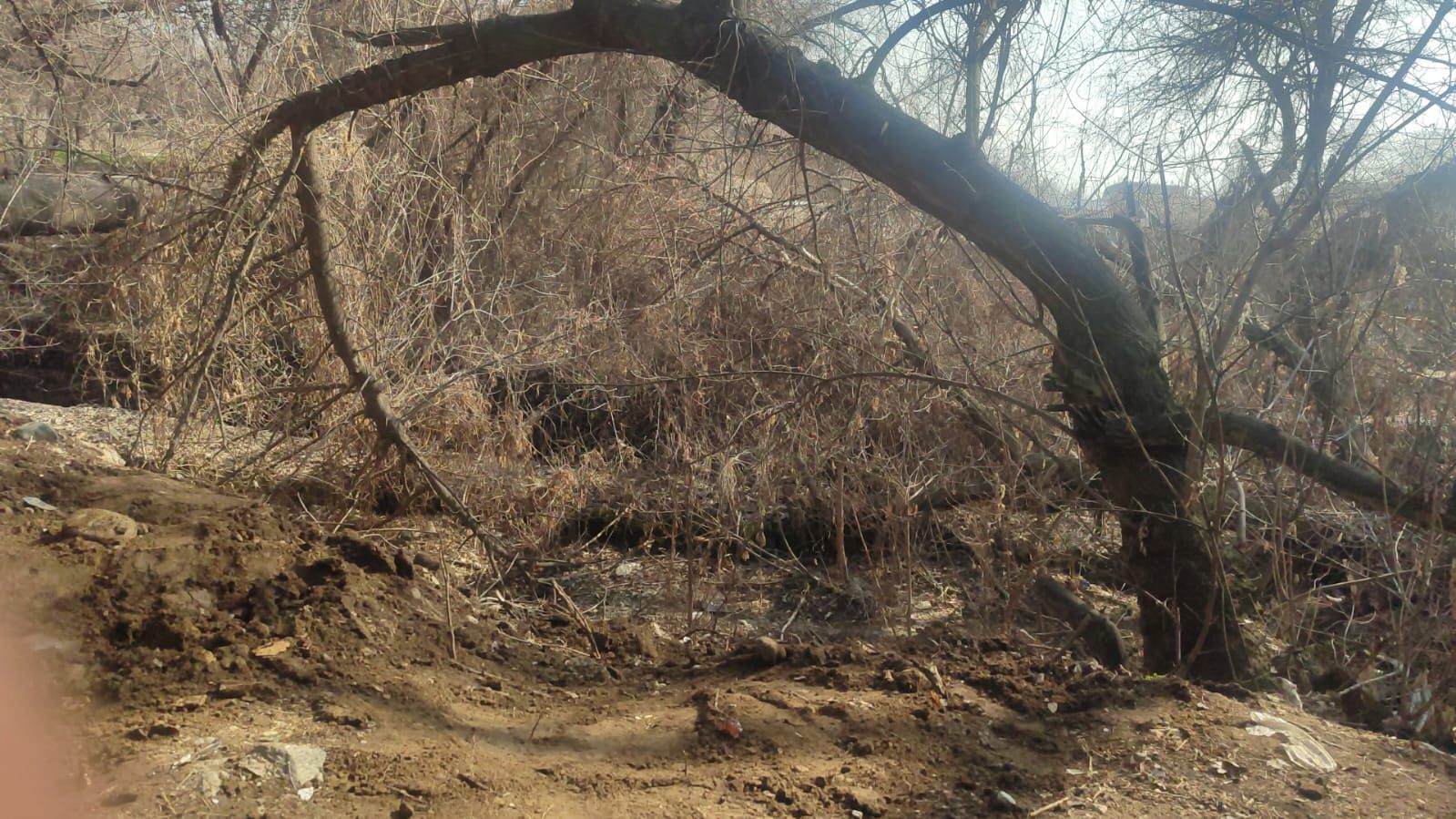 Фото после уборки