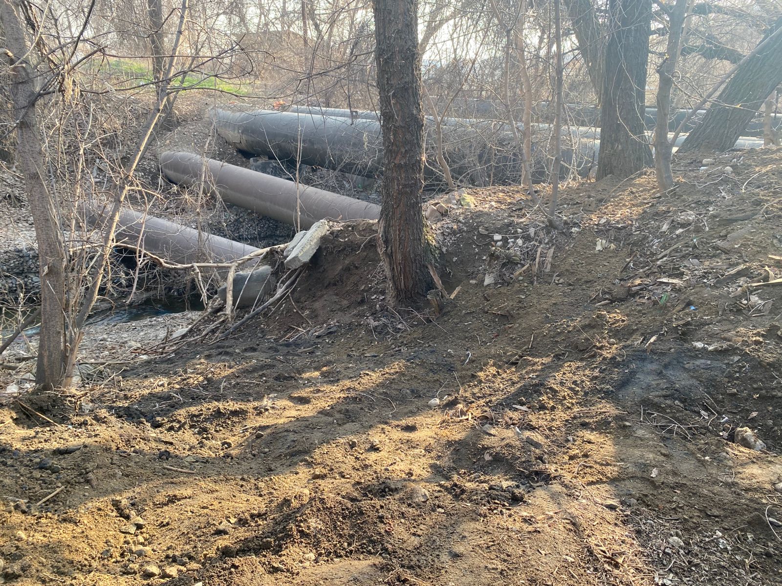 Фото после уборки