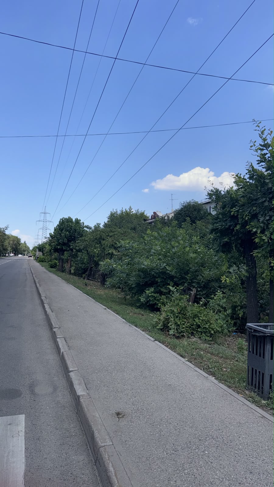 Тазалаудан кейінгі фото
