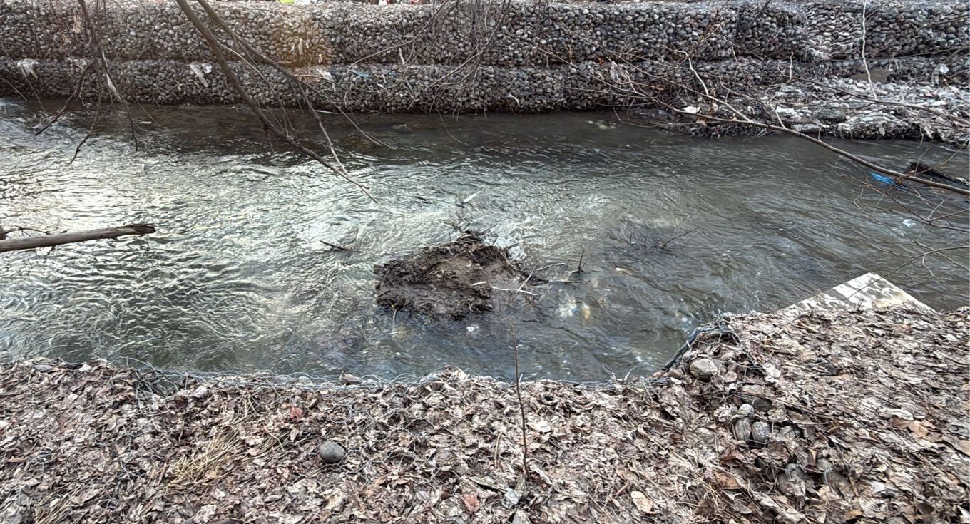 Фото после уборки