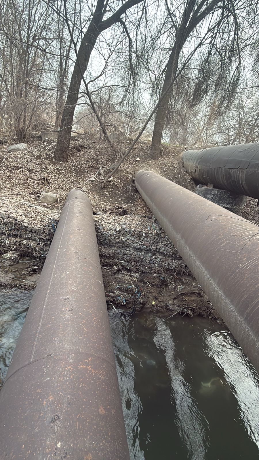 Фото после уборки