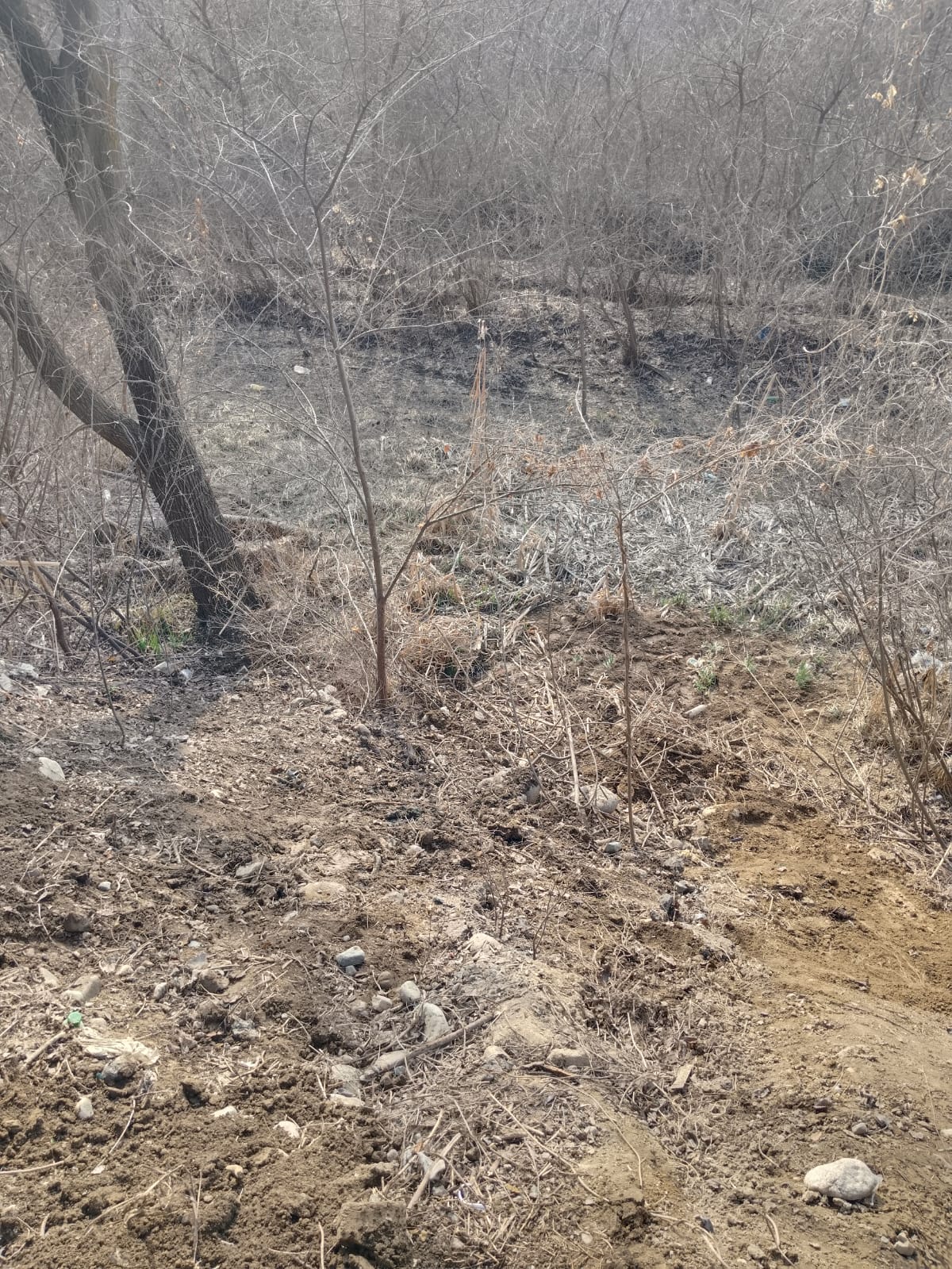 Фото после уборки