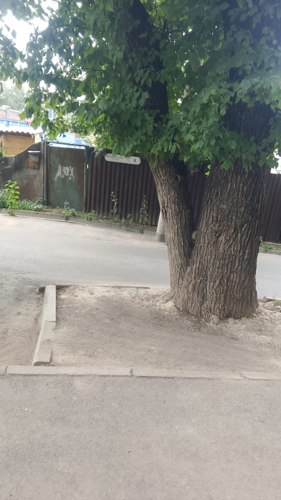 Тазалаудан кейінгі фото