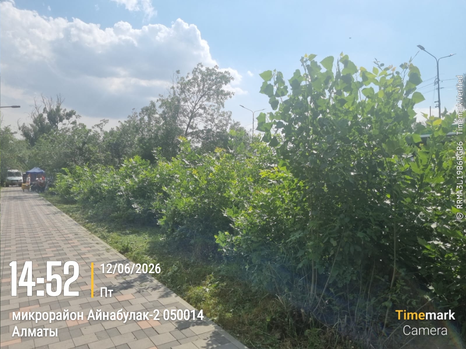 Тазалаудан кейінгі фото