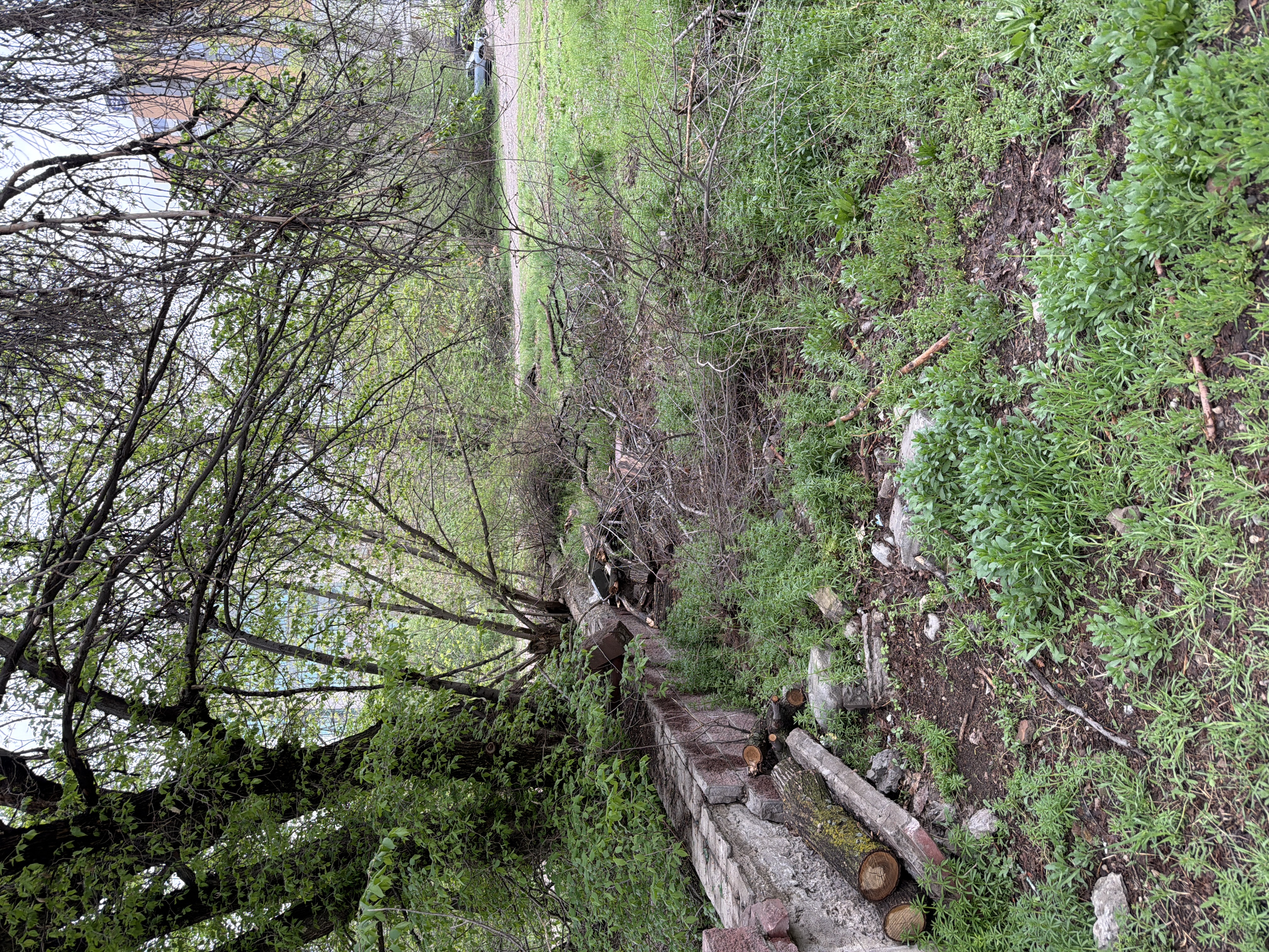 Фото нарушения