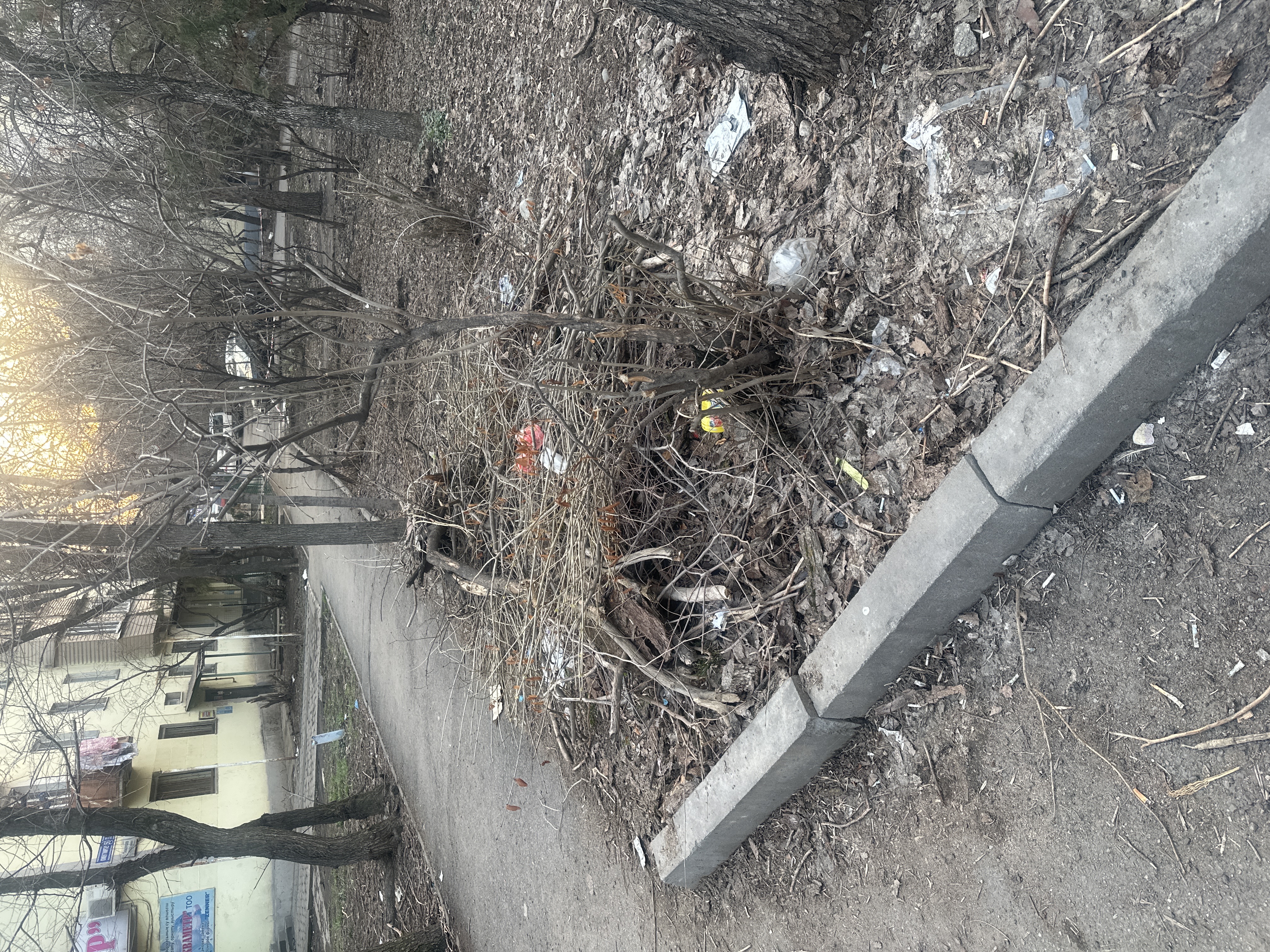 Фото нарушения