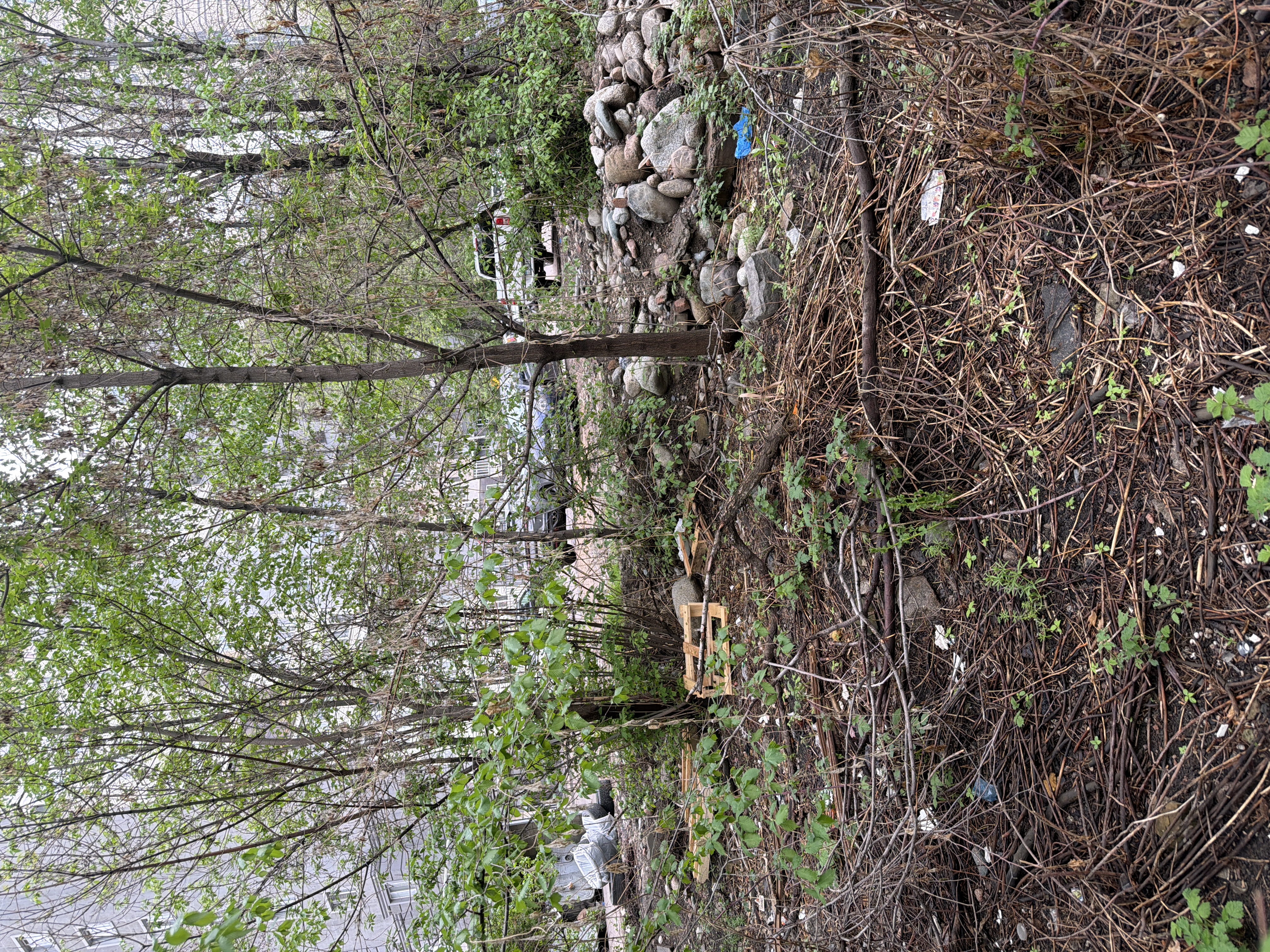 Фото нарушения