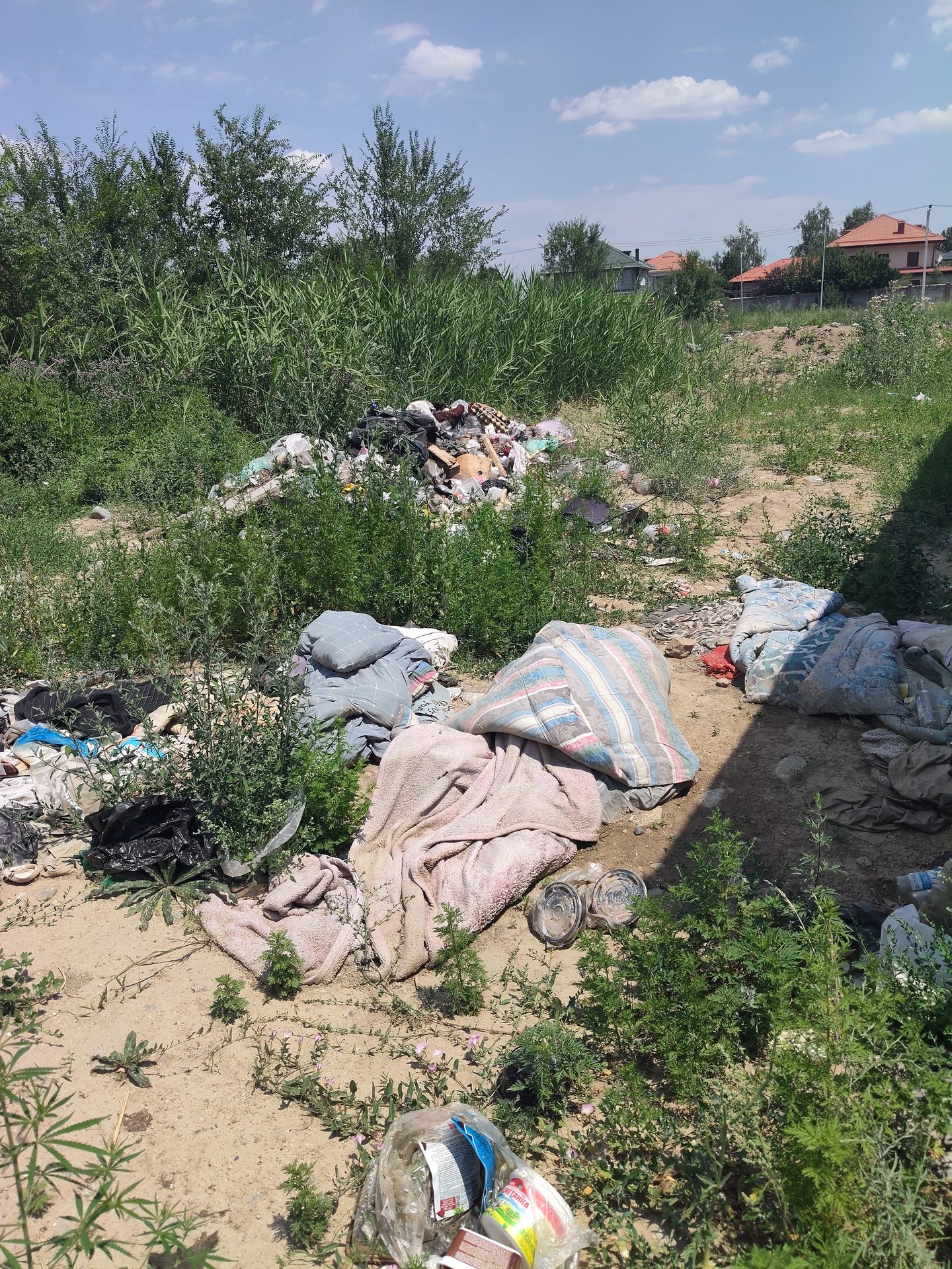 Фото нарушения