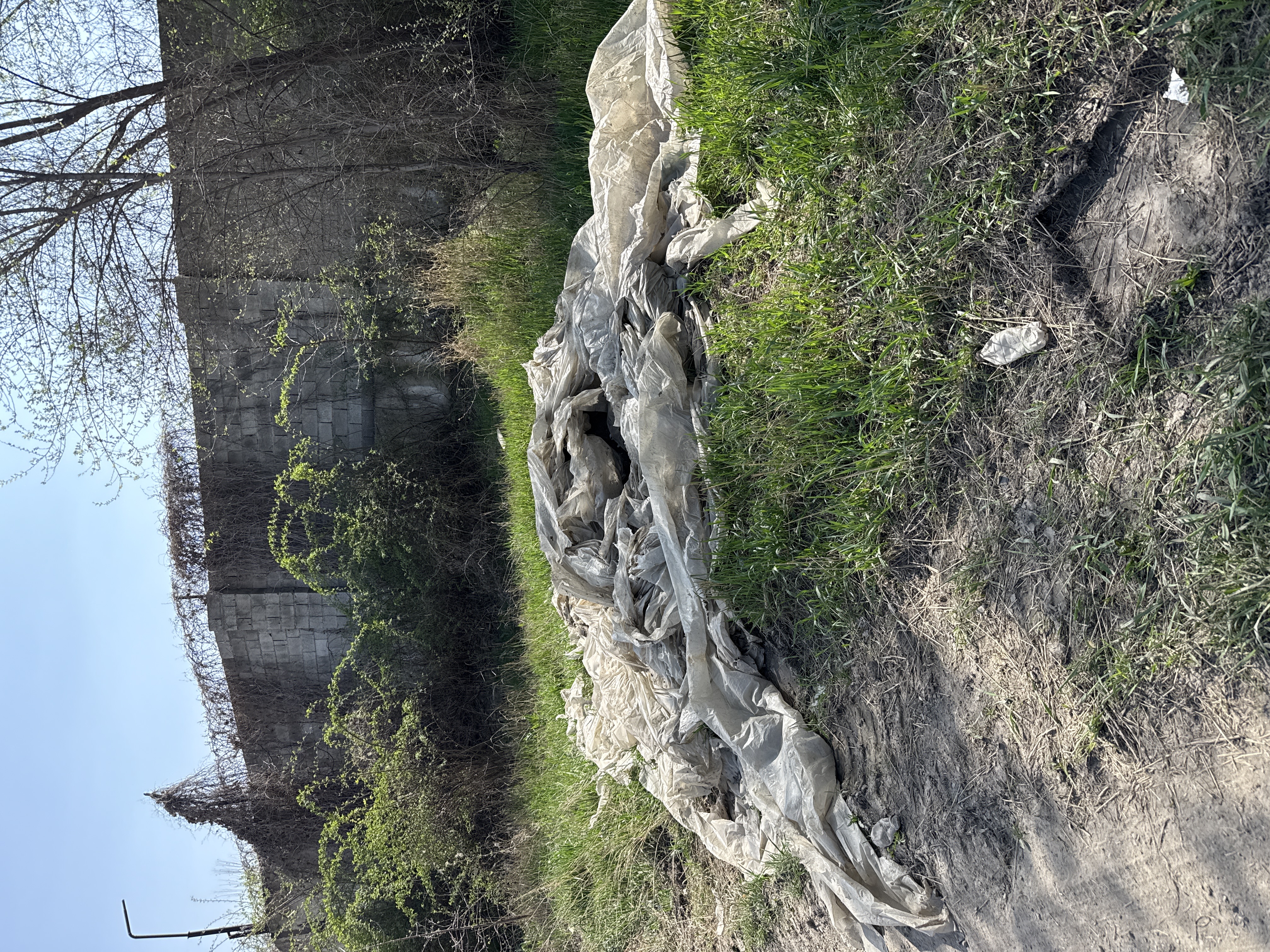 Фото нарушения