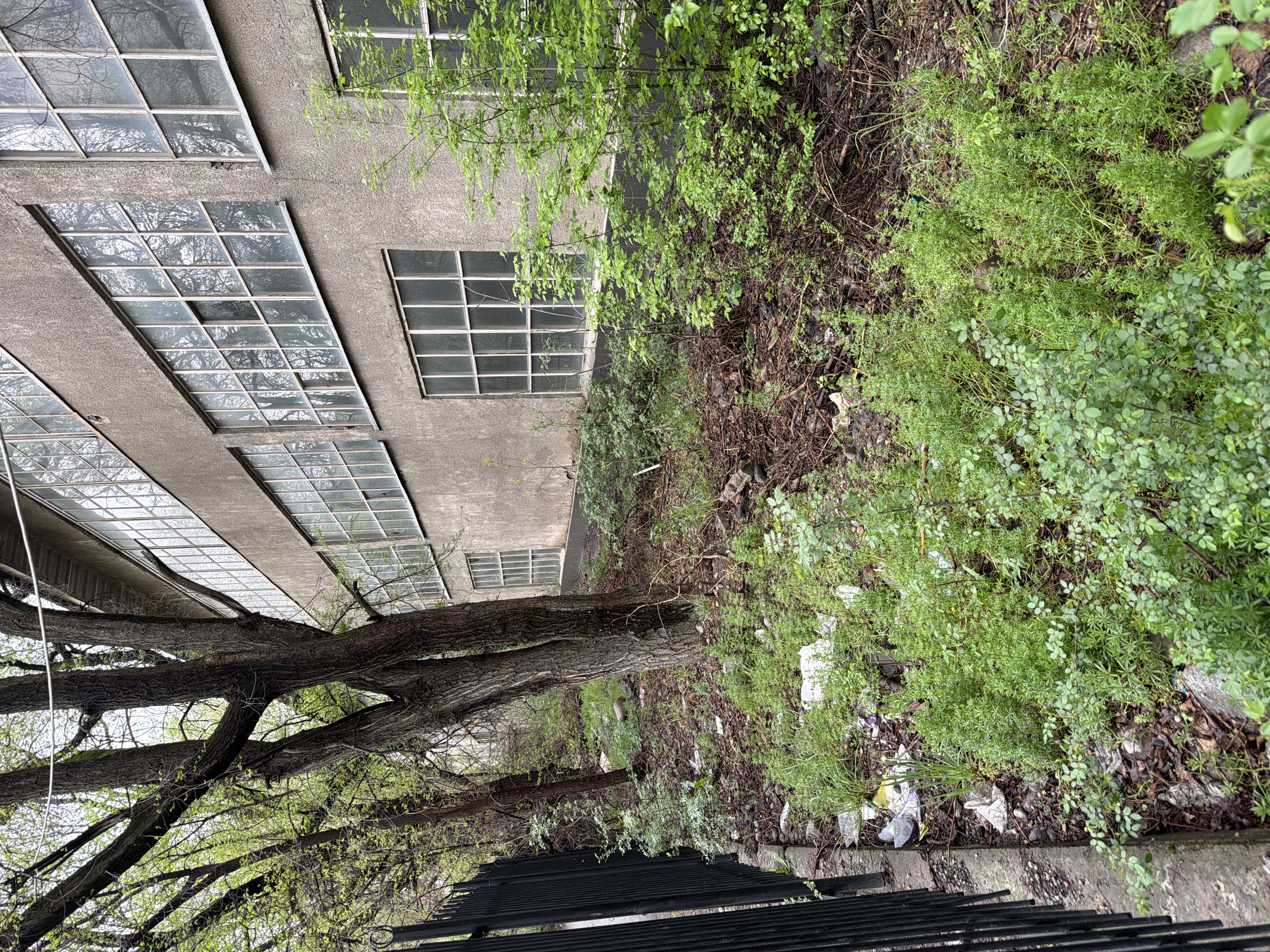 Фото нарушения