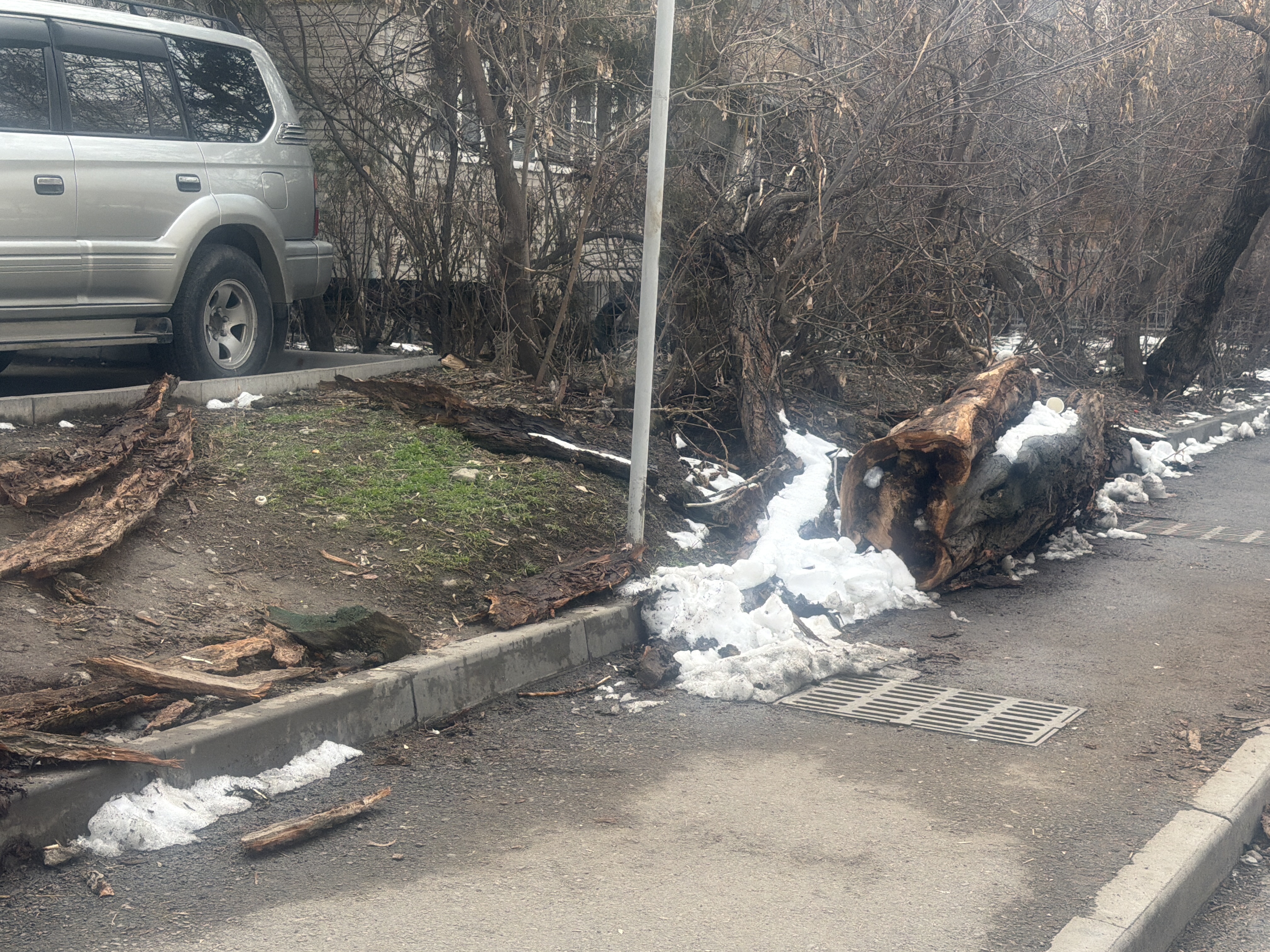 Фото нарушения