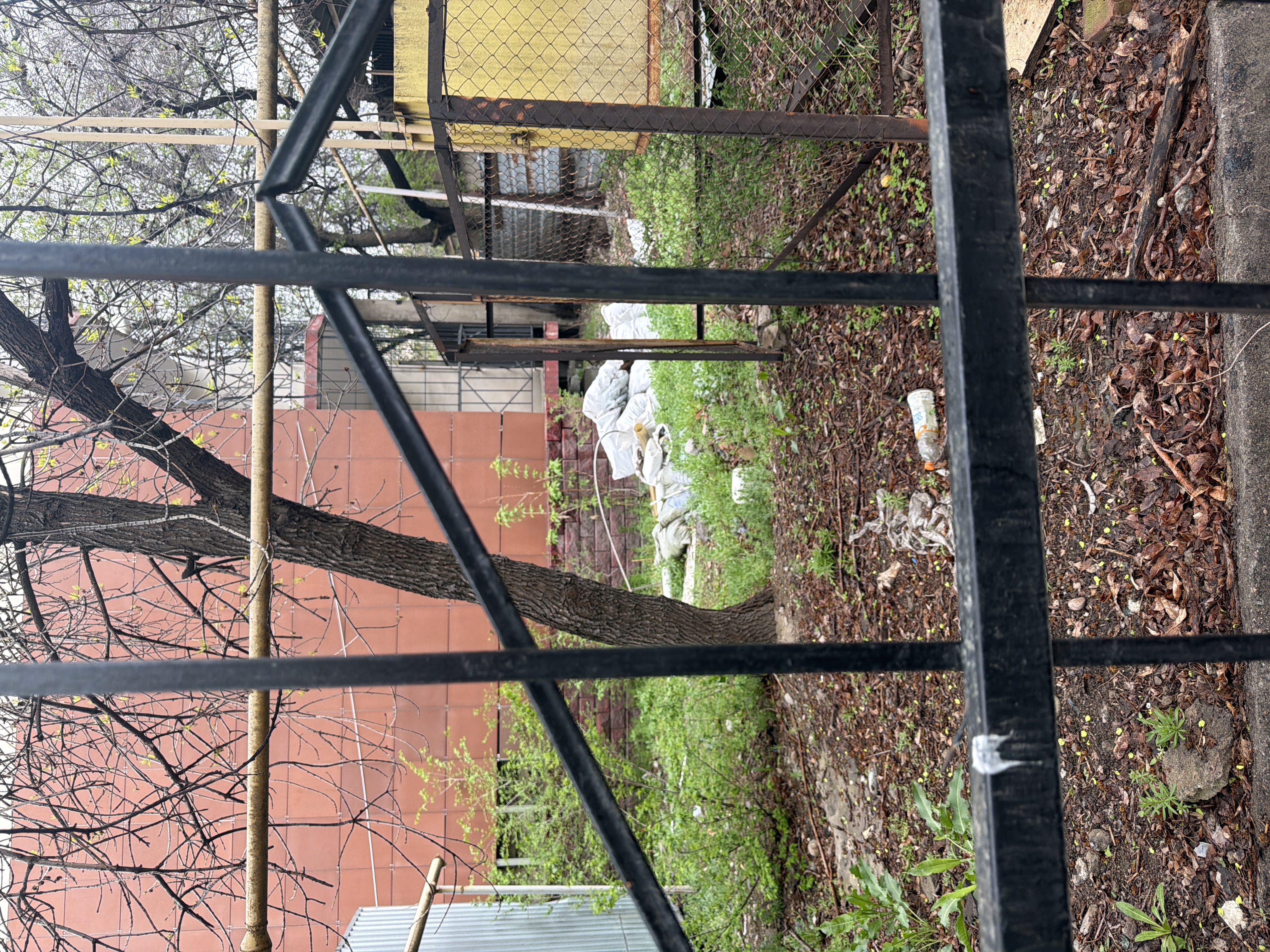 Фото нарушения