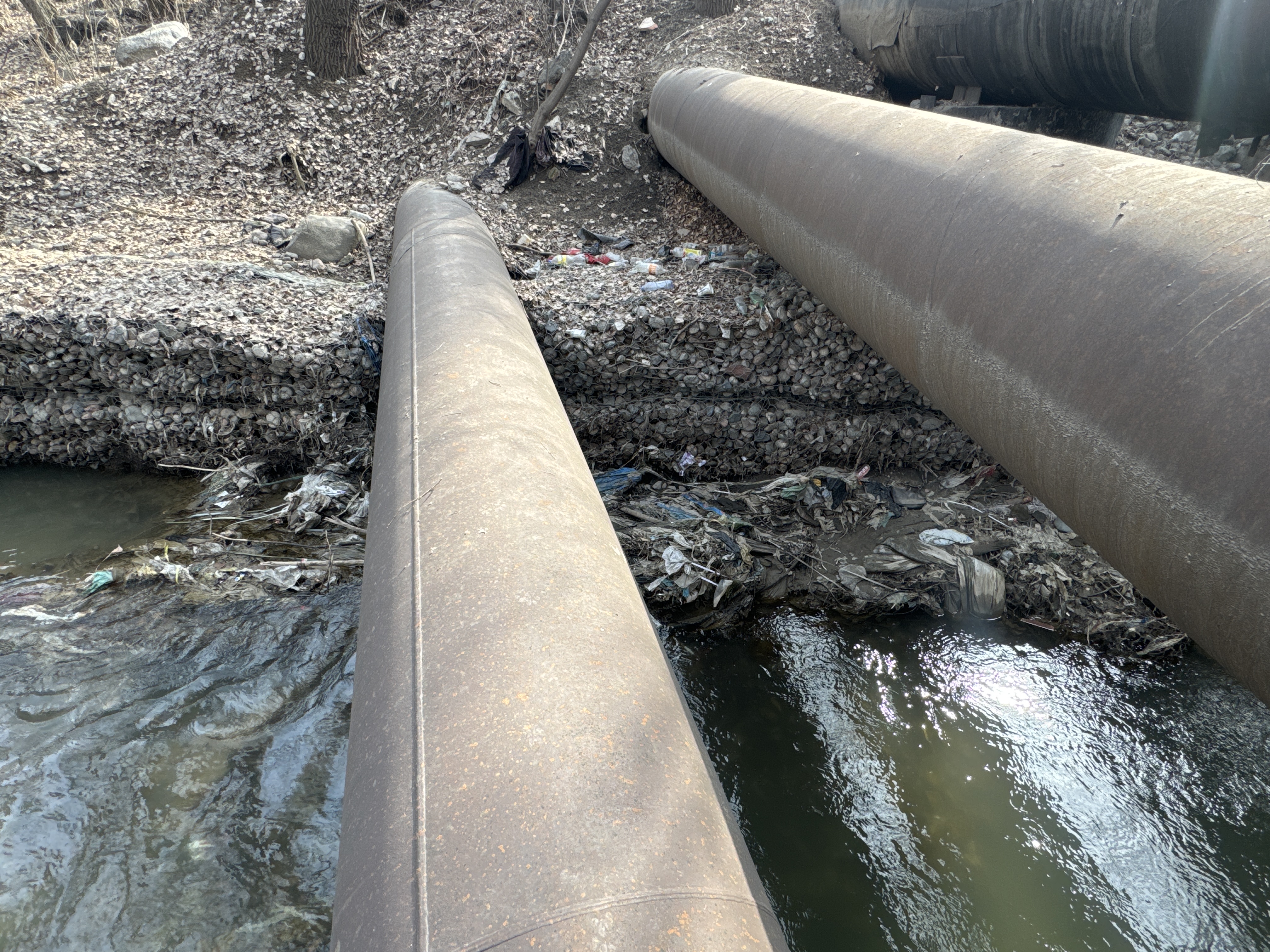 Фото нарушения