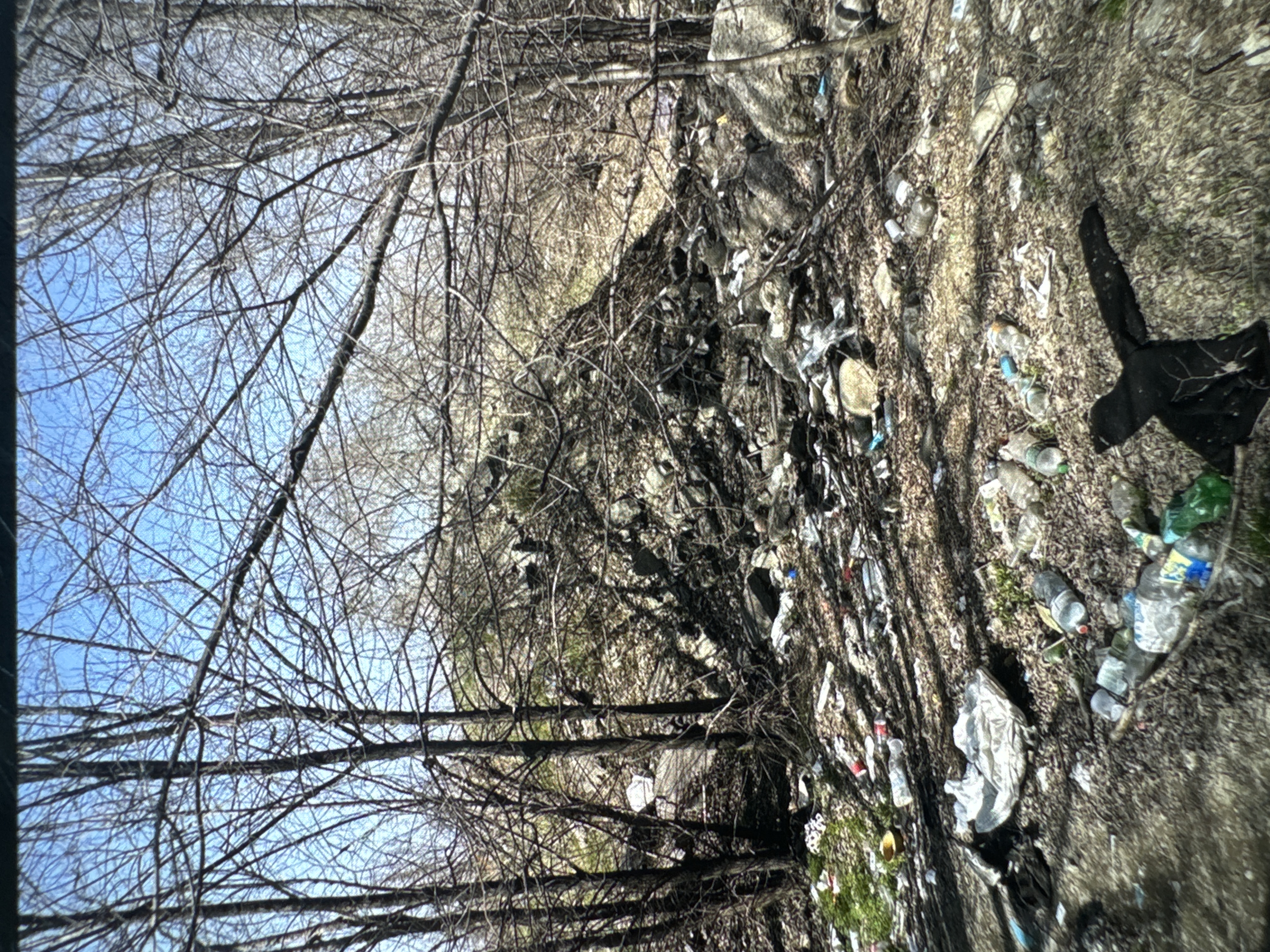 Фото нарушения