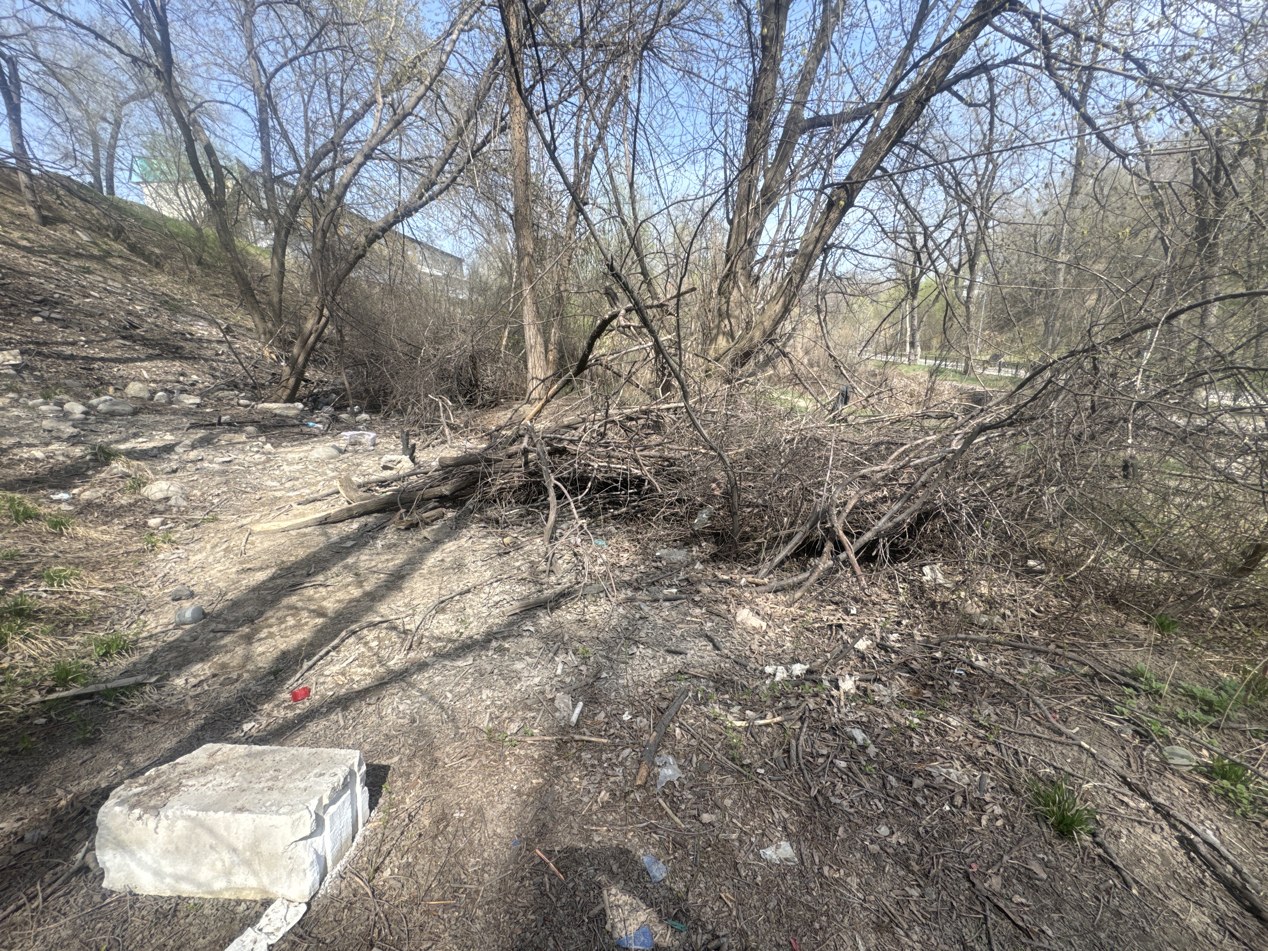 Фото нарушения