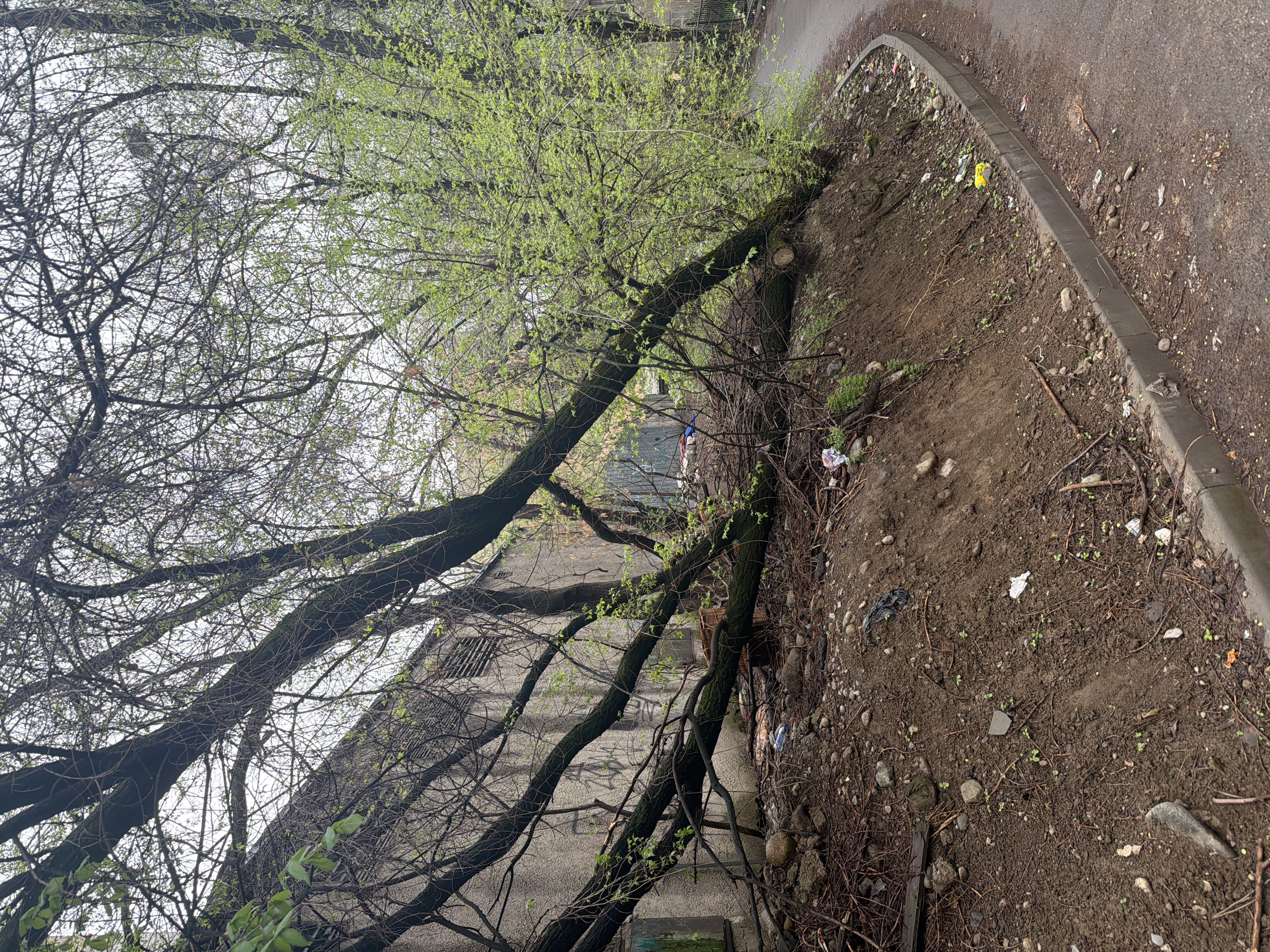 Фото нарушения