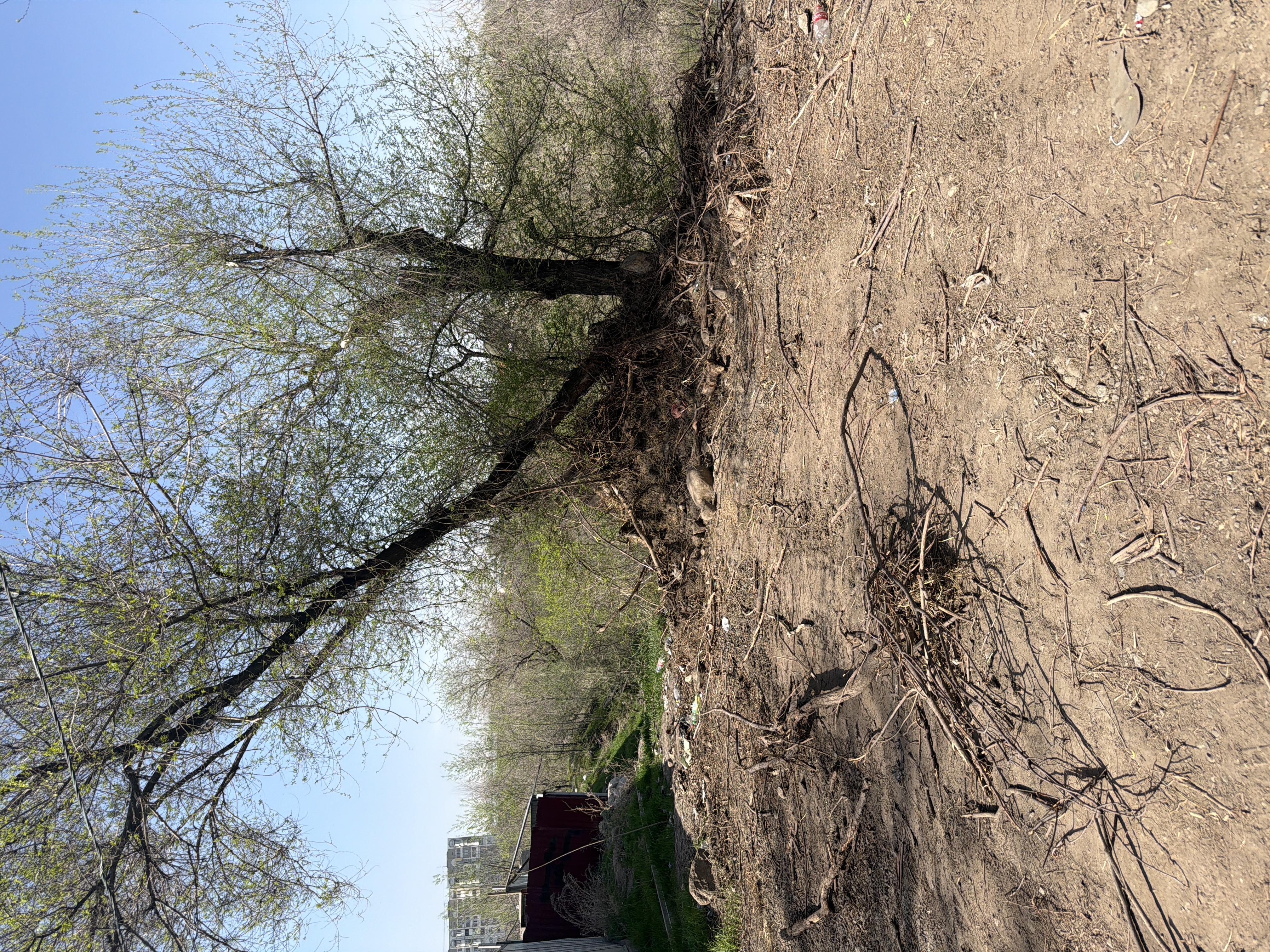 Фото нарушения