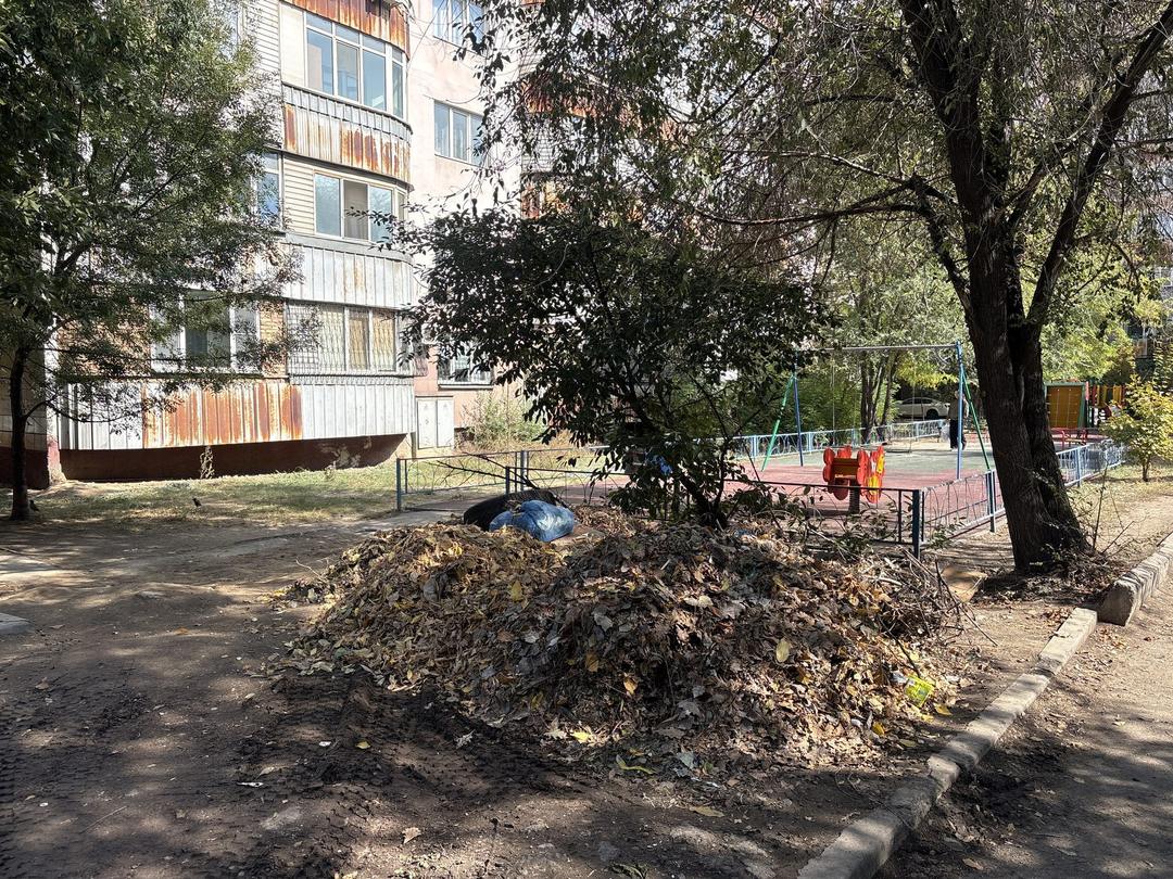 Бұзушылық фотосы