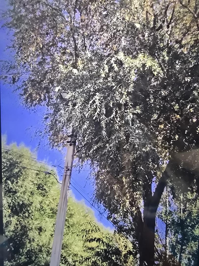 Бұзушылық фотосы