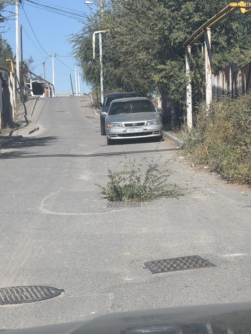 Бұзушылық фотосы
