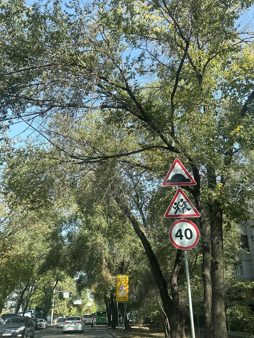 Бұзушылық фотосы