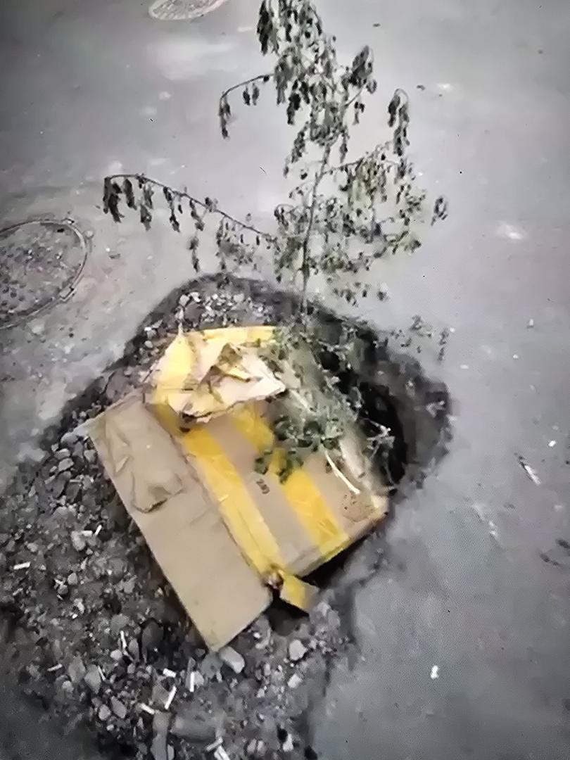 Бұзушылық фотосы