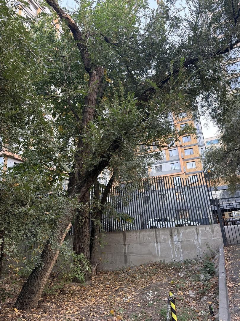 Бұзушылық фотосы