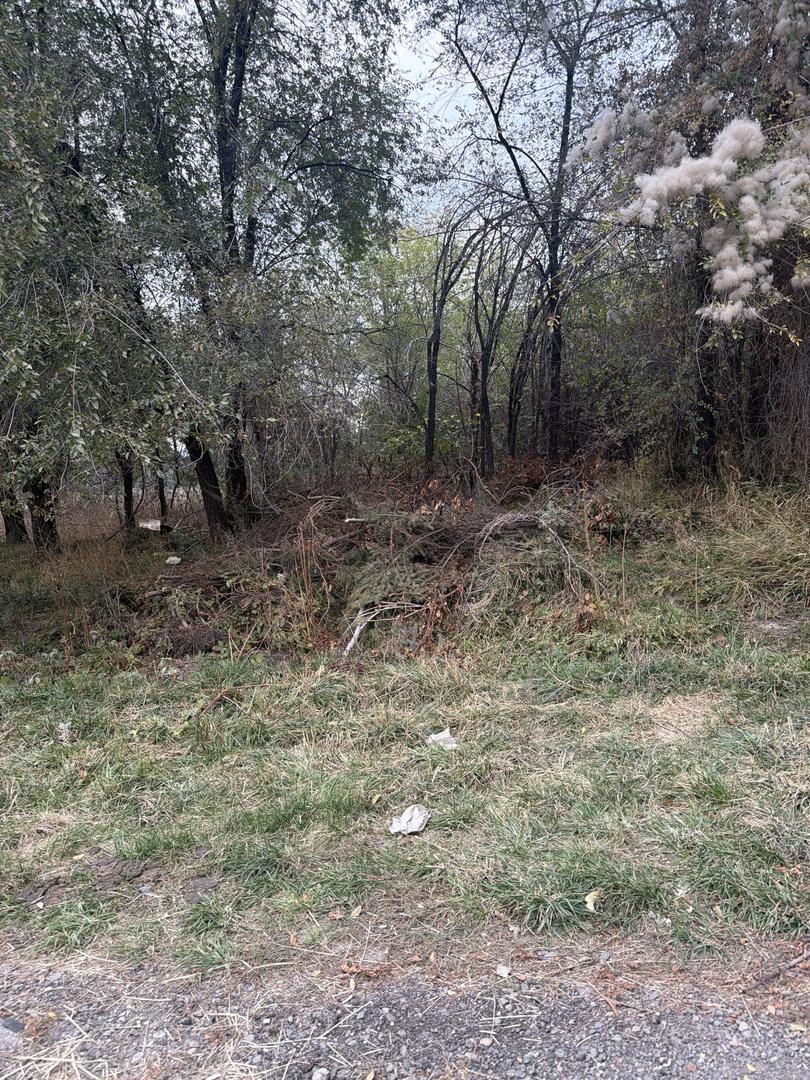 Бұзушылық фотосы