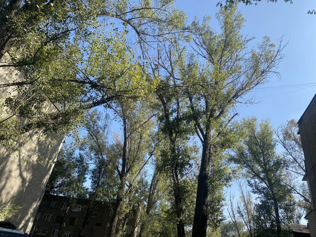 Бұзушылық фотосы